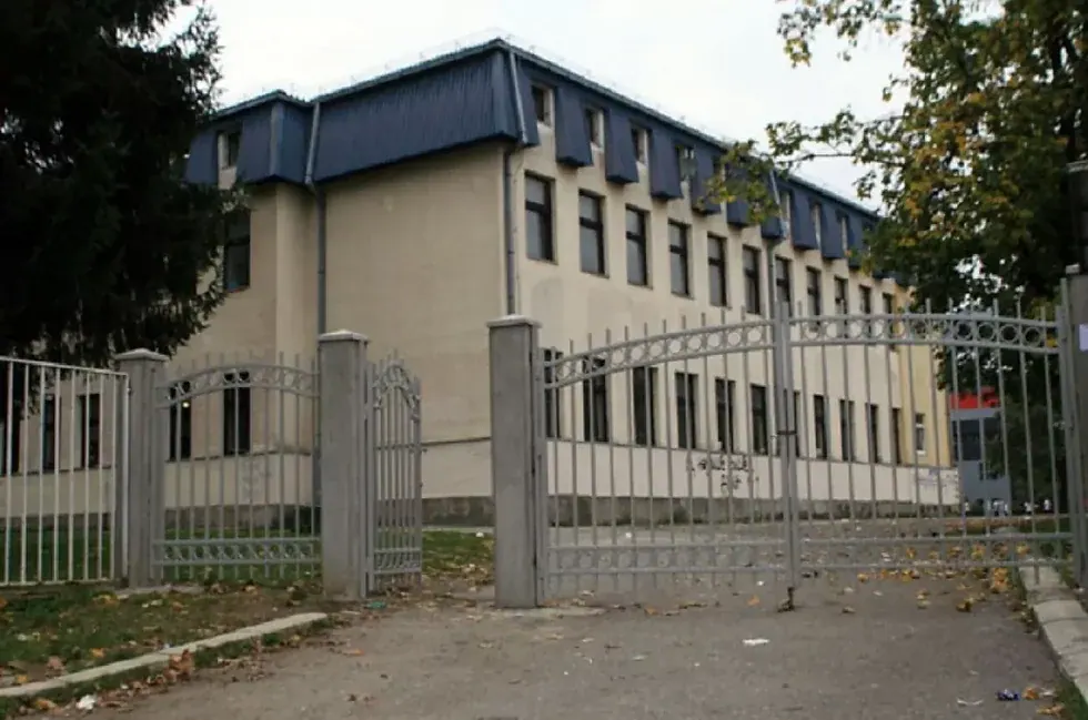 Director Milka Boričić's insights highlight the dedication and challenges faced by JU OŠ Vuk Karadžić in providing inclusive education.