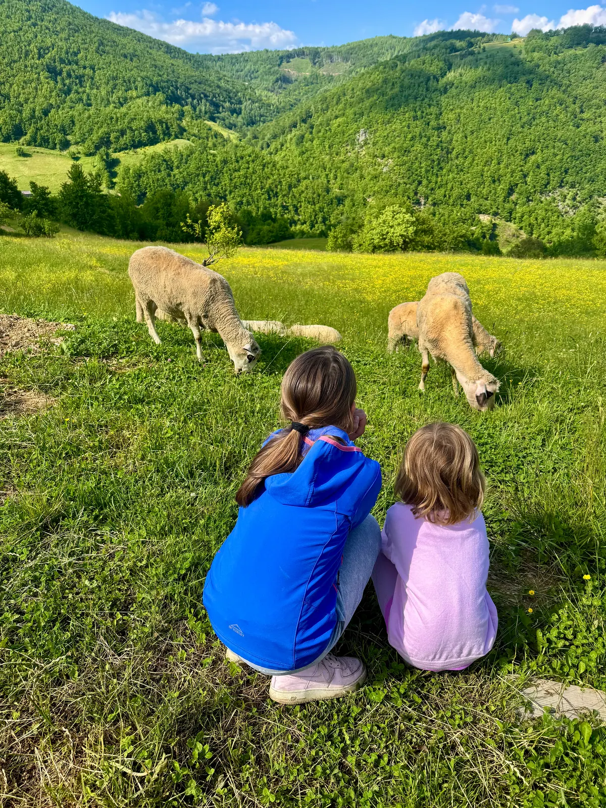 Are the Balkans the real Montessori 2025? – photo 3