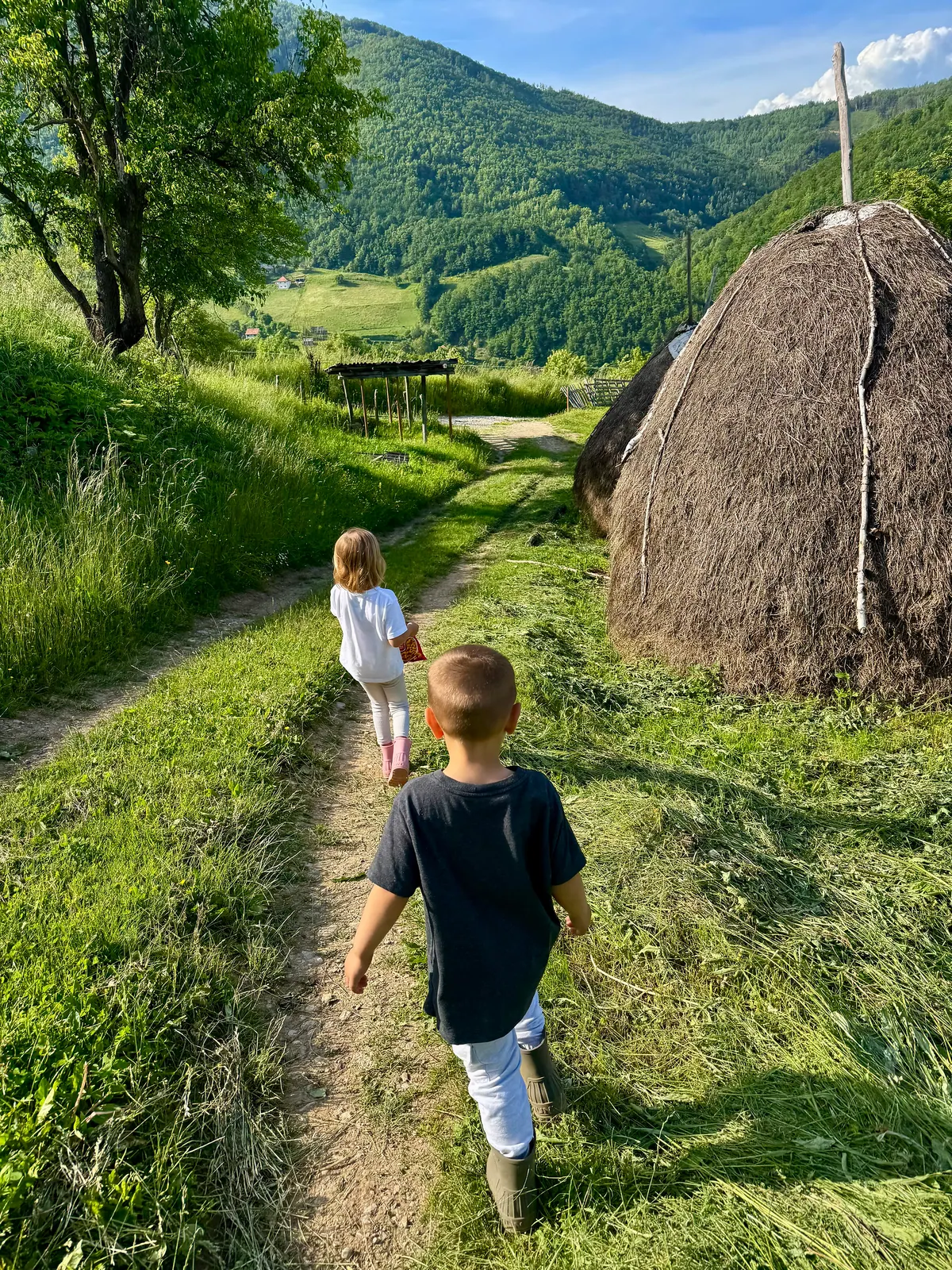 Are the Balkans the real Montessori 2025? – photo 4