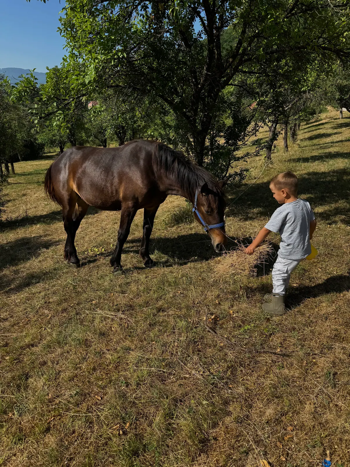 Are the Balkans the real Montessori 2025? – photo 9