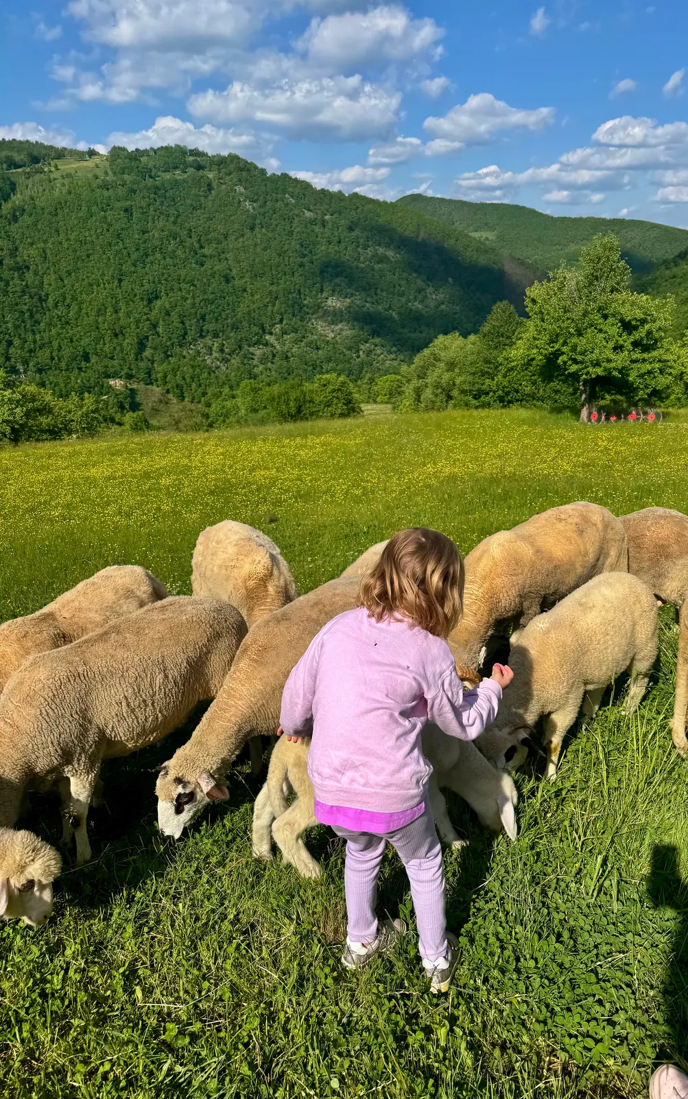 Are the Balkans the real Montessori 2025? – photo 10