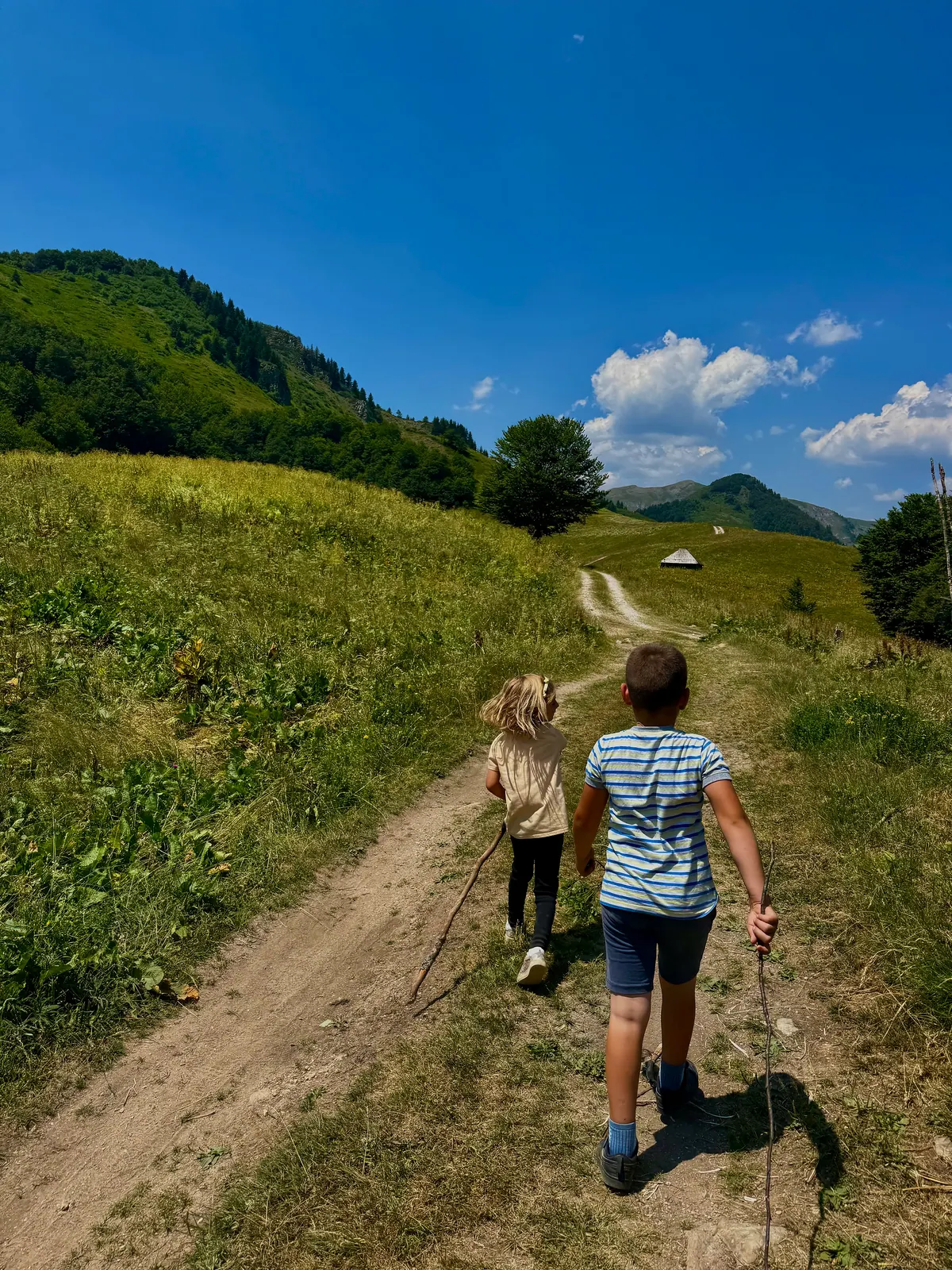 Are the Balkans the real Montessori 2025? – photo 6